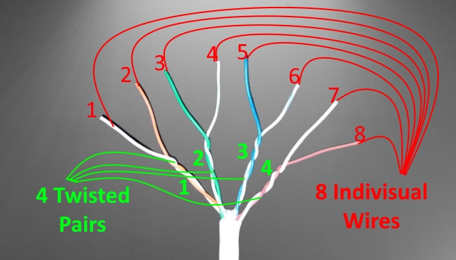 Inside lan cable 4 twisted pair and 8 indivisual wires